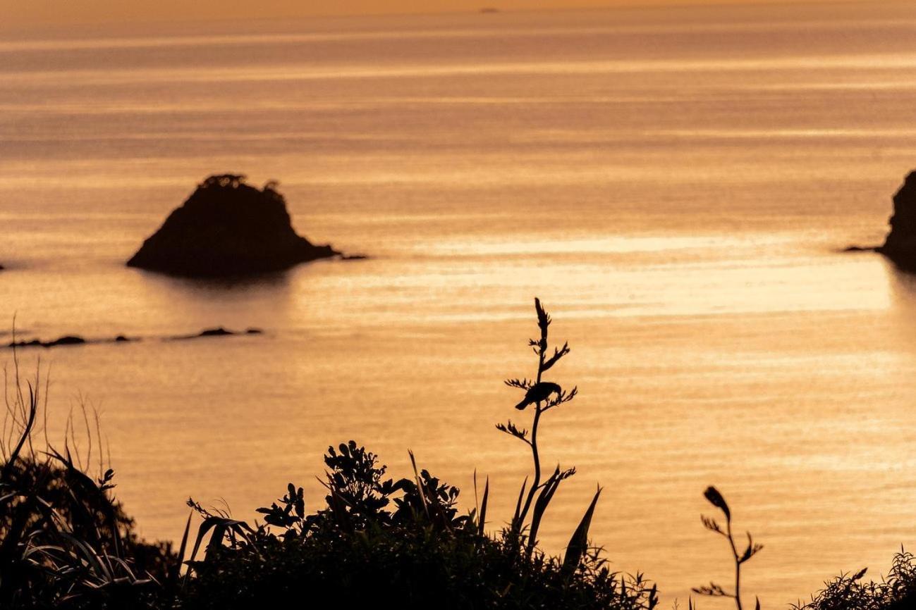 Cathedral Cove And Sunrise Apartment Hahei Ngoại thất bức ảnh