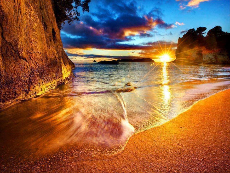 Cathedral Cove And Sunrise Apartment Hahei Ngoại thất bức ảnh